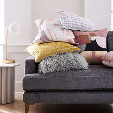 Danmitex Luxury Down Feather Throw Pillow Inserts 22x22