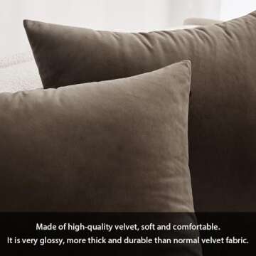 MIULEE Pack of 2 Dark Coffee Velvet Throw Pillow Covers 24x24 Inch Soft Solid Decorative Square Set Cushion Cases for Couch Sofa Bedroom