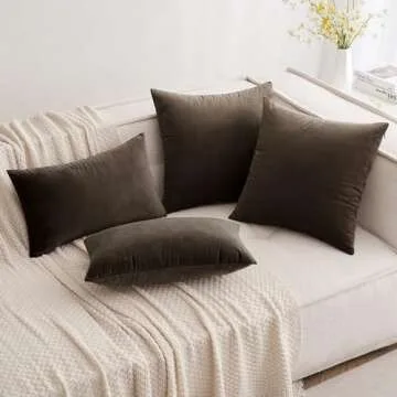 MIULEE Pack of 2 Dark Coffee Velvet Throw Pillow Covers 24x24 Inch Soft Solid Decorative Square Set Cushion Cases for Couch Sofa Bedroom