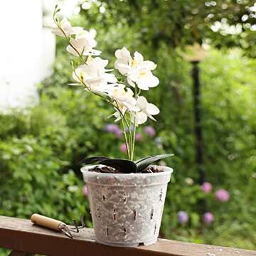 YIKUSH Orchid Pots with Holes Clear Orchid Pot Plastic Plant Pot Flower Pots Outdoor and Indoor Use 5.5 inch 10Pack