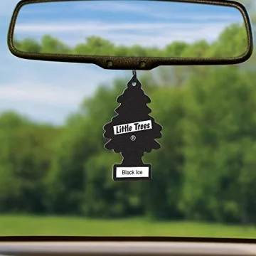 Little Trees Black Ice Air Freshener 24 Pack for Freshness