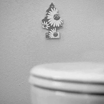 Little Trees Black Ice Air Freshener 24 Pack for Freshness