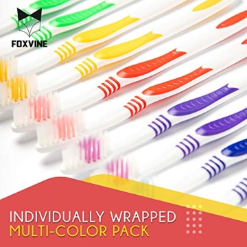EcoFox 25 Pack Bulk Toothbrush Set for Everyone