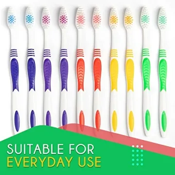EcoFox 25 Pack Bulk Toothbrush Set for Everyone