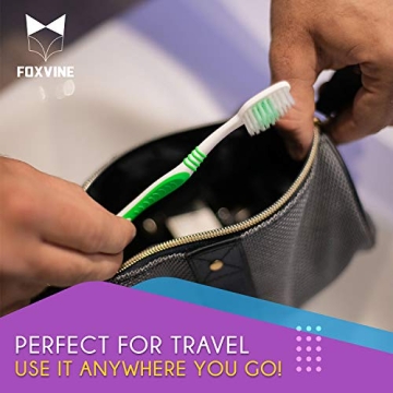 EcoFox 25 Pack Bulk Toothbrush Set for Everyone