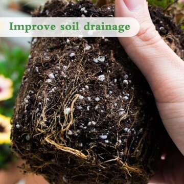 HAINANSTRY Organic Perlite for Enhanced Soil Drainage
