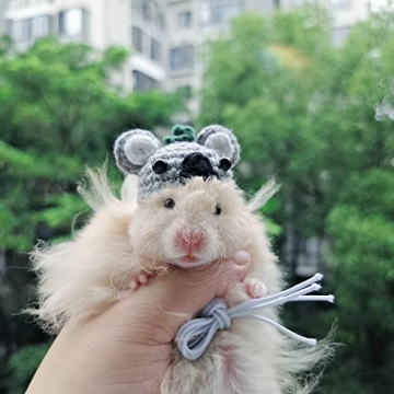 Adorable Adjustable Hats for Small Animals and Pets