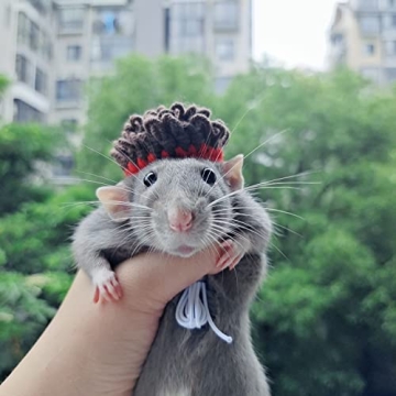 Adorable Adjustable Hats for Small Animals and Pets