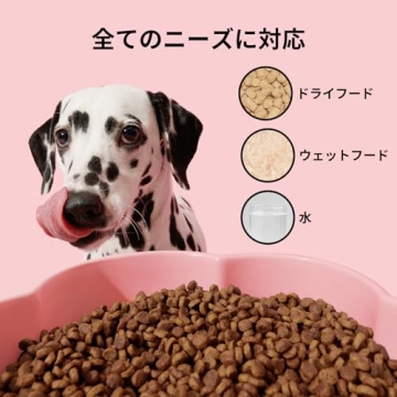 VETRESKA Elevated Dog Bowls 40 OZ for Medium to Large Dogs