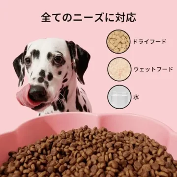 VETRESKA Elevated Dog Bowls 40 OZ for Medium to Large Dogs