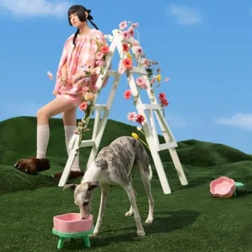 VETRESKA Elevated Dog Bowls 40 OZ for Medium to Large Dogs