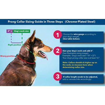 Herm Sprenger Quick Release Prong Collar for Dog Training