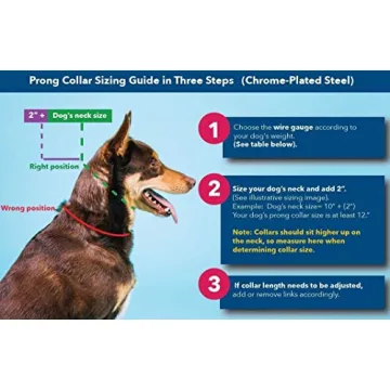 Herm Sprenger Quick Release Prong Collar for Dog Training