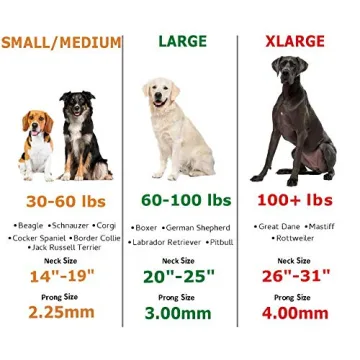 Herm Sprenger Quick Release Prong Collar for Dog Training