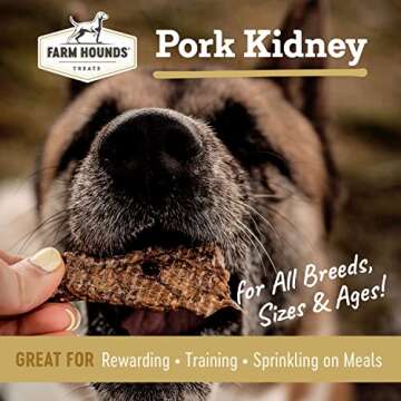 Farm Hounds - Pork Kidney - Premium Natural Pork Kidney Jerky For Dogs - Made From 100% Humanely Rai...