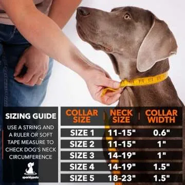 Premium SparklyPets Dog Collar for Large Breeds