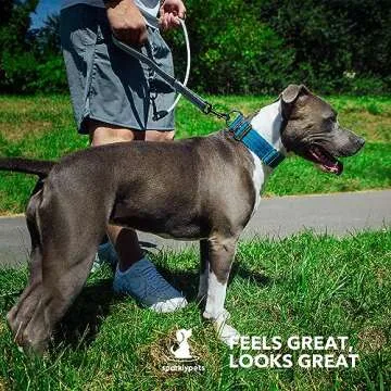 Premium SparklyPets Dog Collar for Large Breeds