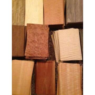 Wood Veneer Variety Pack 65 Pieces for Crafting & Inlay