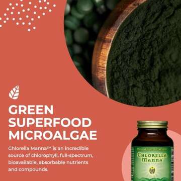 HealthForce Chlorella Manna Powder - Pure Superfood Benefits