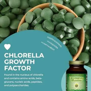 HealthForce Chlorella Manna Powder - Pure Superfood Benefits