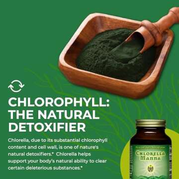 HealthForce Chlorella Manna Powder - Pure Superfood Benefits