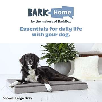 BarkBox Orthopedic Dog Bed for Ultimate Dog Comfort