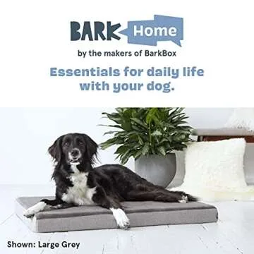 BarkBox Orthopedic Dog Bed for Ultimate Dog Comfort