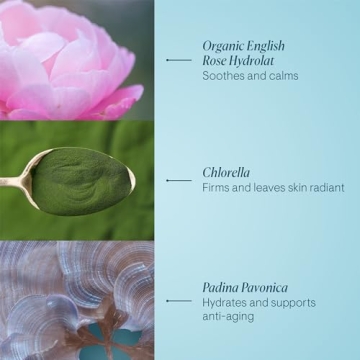 ELEMIS Pro-Collagen Rose Marine Cream for Hydration