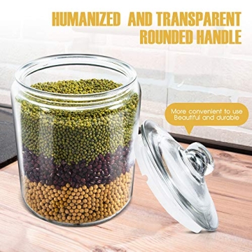 Masthome 1 Gallon Airtight Glass Storage Jar