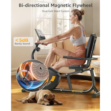 Recumbent Exercise Bike for Home Workouts - JEEKEE
