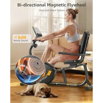 Recumbent Exercise Bike for Home Workouts - JEEKEE