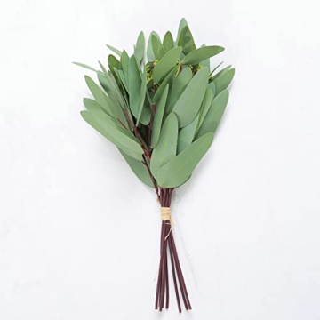 Raincol Woooow Artificial Eucalyptus Long Oval Leaf Stem Eucalyptus Spray Artificial Greenery Leaves for Wedding Greenery Holiday Greens Decor(8 Pack)
