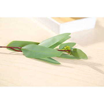 Raincol Woooow Artificial Eucalyptus Long Oval Leaf Stem Eucalyptus Spray Artificial Greenery Leaves for Wedding Greenery Holiday Greens Decor(8 Pack)