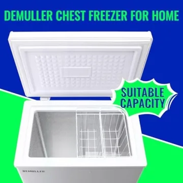 DEMULLER 3.5 Cu.ft Chest Freezer with Baskets and Panel
