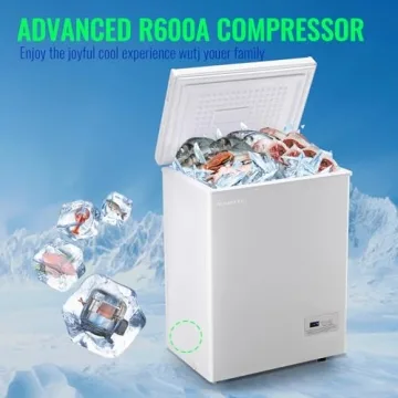 DEMULLER 3.5 Cu.ft Chest Freezer with Baskets and Panel