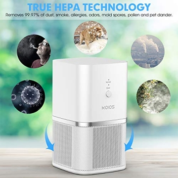 KOIOS H13 HEPA Air Purifier for Smokers Pets Small Spaces