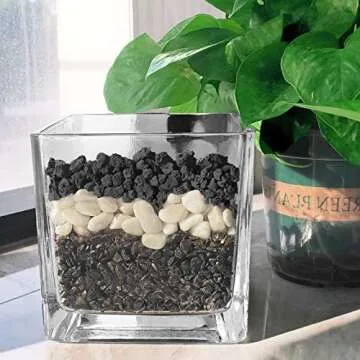 CARURBODY Black Lava Rocks for Plants -100% Pure Volcanic Rock No Dyes or Chemicals-Best Lava Stones Top Dressing for Cacti Succulents Plants,Bonsai