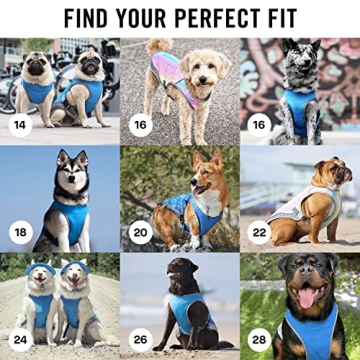 Canada Pooch Dog Cooling Vest for Outdoor Adventures