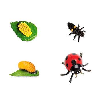Safari Ltd. Life Cycle of a Ladybug - Educational Toy Figurines - Miniature Beetle Lifecycle Collection for Boys, Girls & Kids Age 4+