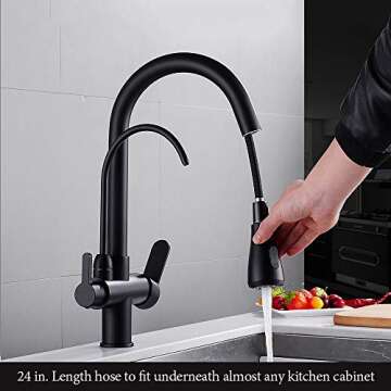 WANFAN Kitchen Faucet with Pull Down Sprayer and Filter