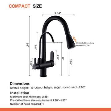 WANFAN Kitchen Faucet with Pull Down Sprayer and Filter