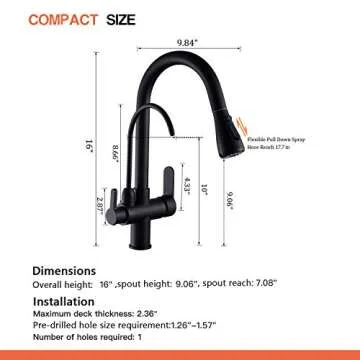 WANFAN Kitchen Faucet with Pull Down Sprayer and Filter