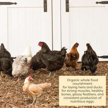 Scratch and Peck Whole Grain Layer Mash Chicken and Duck Feed - Corn-Free and Soy-Free - 16% Protein, Certified Organic and Non-GMO Project Verified Chicken Food - 50 lbs Bag