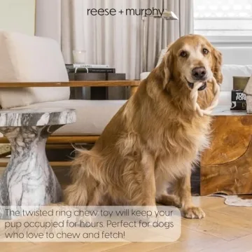 Indestructible Dog Chew Toy for Aggressive Chewers - Reese+Murphy