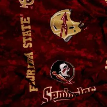 NCAA Florida State Seminoles Fleece Fabric by the Yard