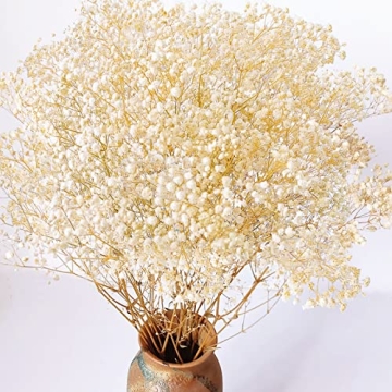 3000+ Dried Babys Breath Flowers Bulk - 17.2" Ivory White Dried Flowers Bouquet for Home Decor, Wedd...