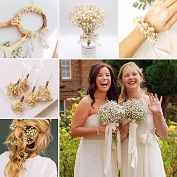 Bulk Dried Baby's Breath - 3000+ Ivory White Flowers