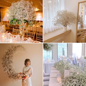 Bulk Dried Baby's Breath - 3000+ Ivory White Flowers