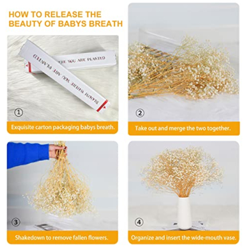 Bulk Dried Baby's Breath - 3000+ Ivory White Flowers