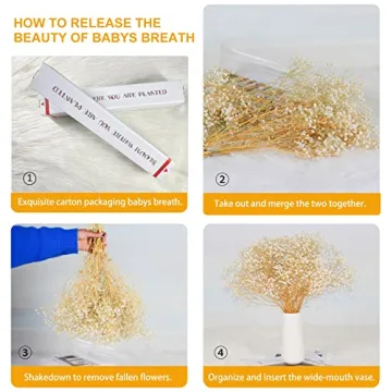 Bulk Dried Baby's Breath - 3000+ Ivory White Flowers